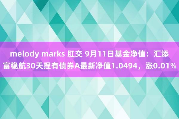 melody marks 肛交 9月11日基金净值：汇添富稳航30天捏有债券A最新净值1.0494，涨0.01%
