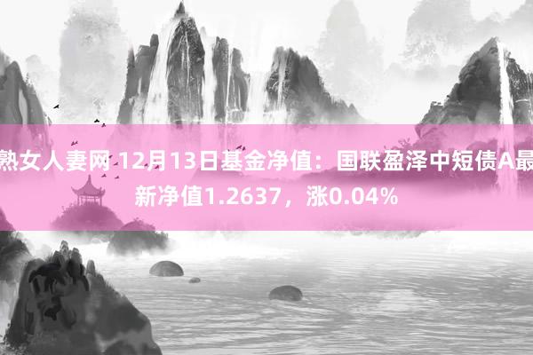 熟女人妻网 12月13日基金净值：国联盈泽中短债A最新净值1.2637，涨0.04%
