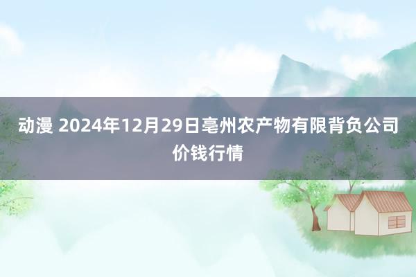 动漫 2024年12月29日亳州农产物有限背负公司价钱行情