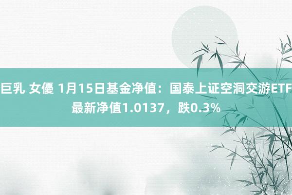 巨乳 女優 1月15日基金净值：国泰上证空洞交游ETF最新净值1.0137，跌0.3%