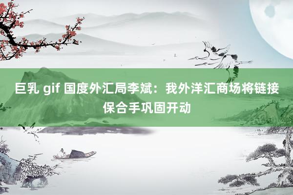 巨乳 gif 国度外汇局李斌:我外洋汇商场将链接保合手巩固开动