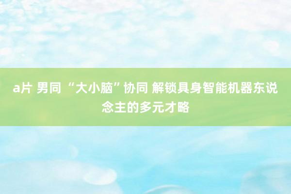 a片 男同 “大小脑”协同 解锁具身智能机器东说念主的多元才略