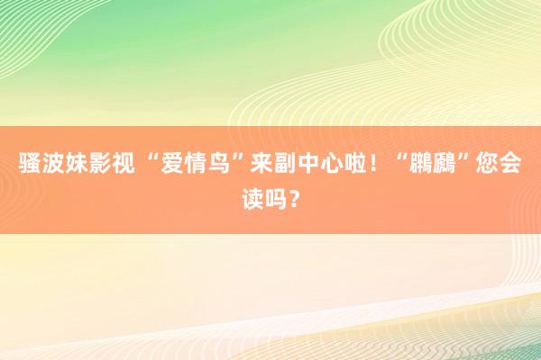 骚波妹影视 “爱情鸟”来副中心啦！“鸊鷉”您会读吗？