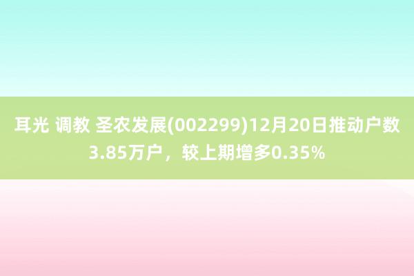 耳光 调教 圣农发展(002299)12月20日推动户数3.85万户，较上期增多0.35%