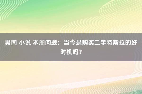 男同 小说 本周问题：当今是购买二手特斯拉的好时机吗？