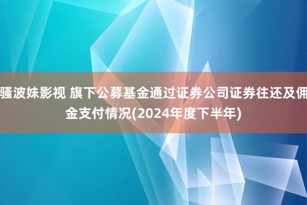 骚波妹影视 旗下公募基金通过证券公司证券往还及佣金支付情况(2024年度下半年)
