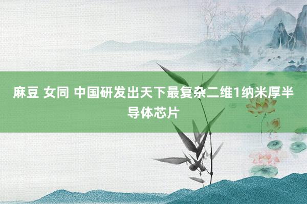 麻豆 女同 中国研发出天下最复杂二维1纳米厚半导体芯片
