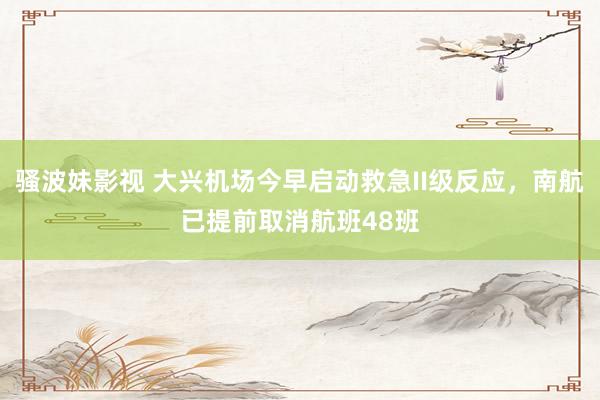 骚波妹影视 大兴机场今早启动救急II级反应，南航已提前取消航班48班